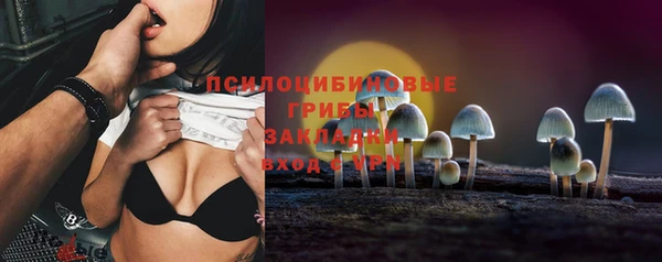 крисы Арсеньев
