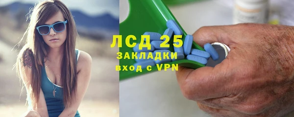 спиды Аркадак
