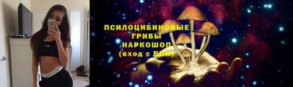 гидра Баксан